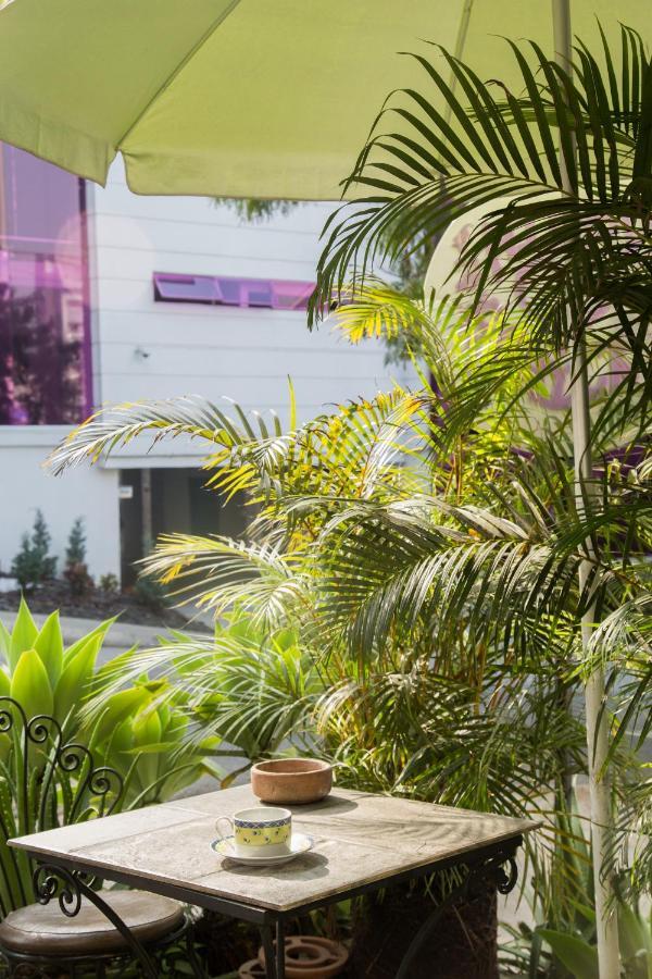 Hostel Spring City Medellín Zewnętrze zdjęcie